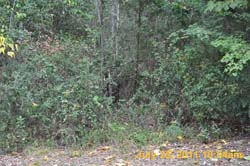 Entergy 135